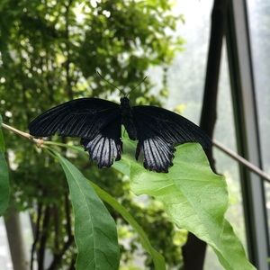 Meet your Posher, Leah